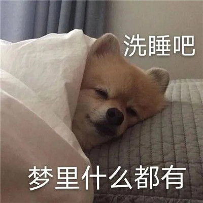 和好朋友共享的有趣微信表情人间小苦瓜有趣表情合集