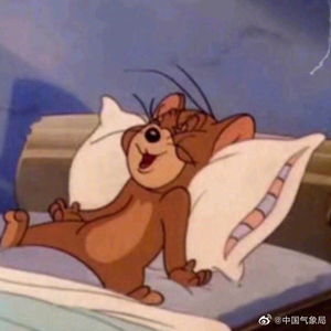 睡觉表情包搞笑猫和老鼠