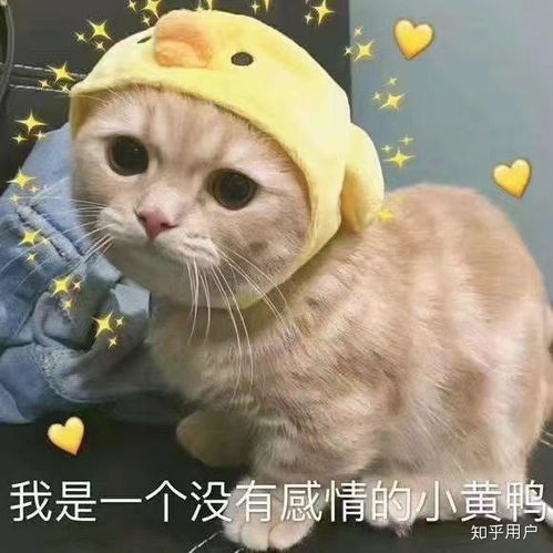 那些被绿茶抢走的男生后来怎么样了