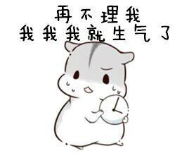 仓鼠抱瓜子堆糖,美好生活研究所
