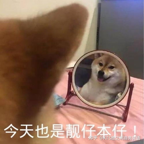 英语演讲视频如何建立和重塑信任