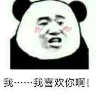 熬夜冠军猫和老鼠汤姆猫猫和老鼠汤姆熬夜冠军表情