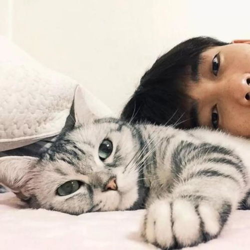 情侣头像我把月亮戳到天上我把唇压进你的脸庞你就是我的
