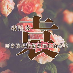 用你的姓氏做微信头像,太美了,有你的姓氏吗