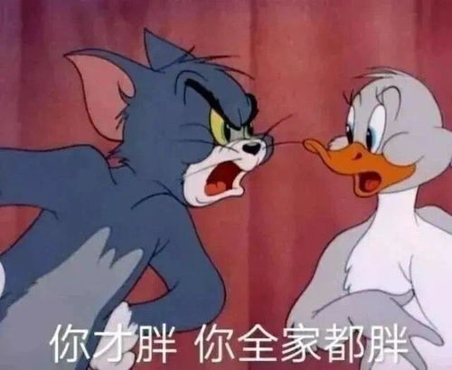 温度记下半年来最强冷空气今夜潜入粤到底有多冷