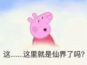 斗图表情包真羡慕群里的人,睡的跟小猪仔一样