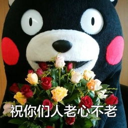儿童节qq表情包熊本熊儿童节表情包2018最新版下载