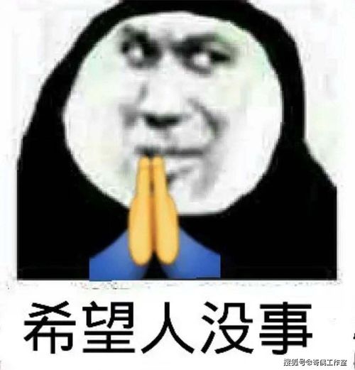 弟弟很喜欢,吐得很厉害连恐怖游戏也开冲,不愧冲国人