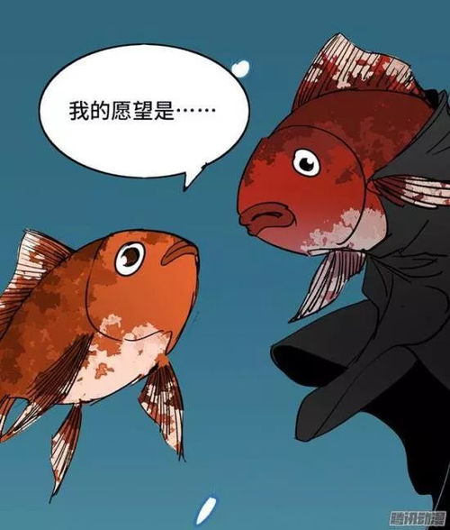 漫画金鱼男孩