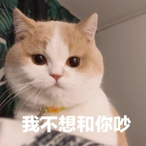 日常搞笑沙雕表情包