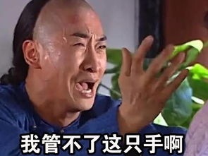 本王送给父皇的父亲节礼物