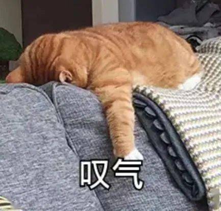 有趣搞笑的沙雕表情包,赶紧收图