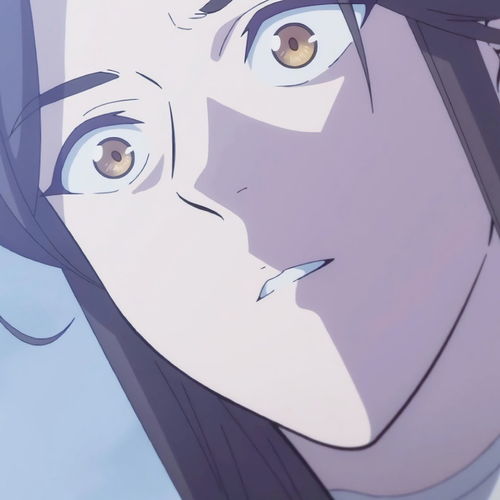 动漫男头精选天官赐福头像