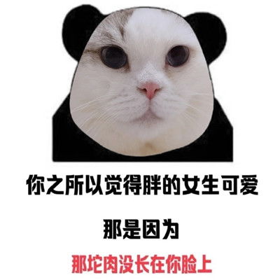 2022年搞笑又有趣的聊天表情包