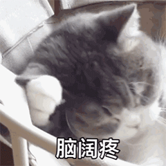 搞笑动态图gif表情包我养你啊