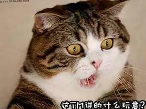 2016车险界探测到引力波