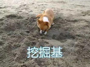 幽默图片搞笑段子人丑就要埋头读书,以免抬头吓人