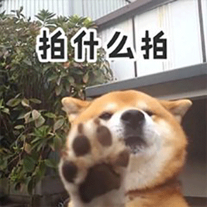 搞笑动态微信表情包拍一拍