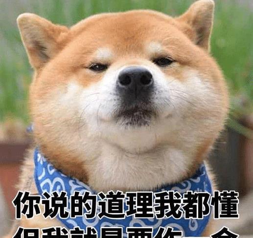 女同事深夜给我发两张照片,这是啥意思哈哈果断拉黑