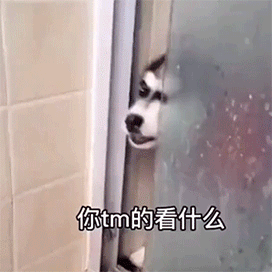 恶搞,搞笑表情包