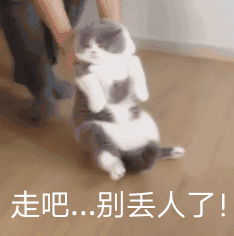 搞怪又可爱的动态表情包