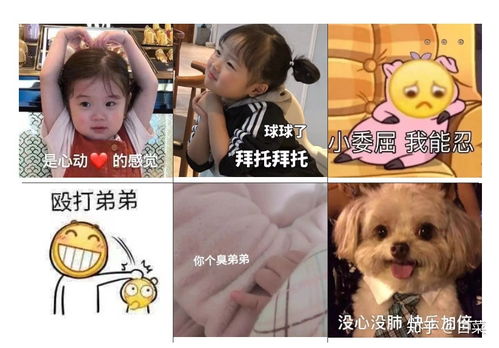 你们有哪些沙雕的表情包,让人一看就忍俊不禁的