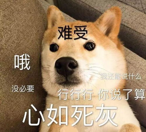 搞笑狗狗表情包第四弹
