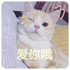 表情粉嫩猫咪表情包,满足你的少女心