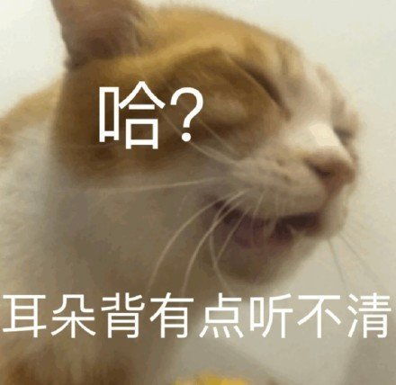 搞笑表情包拿图片我挂下鸡,说啥呢,我没听清