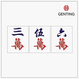 别说你不会打麻将,外国人打得可666了
