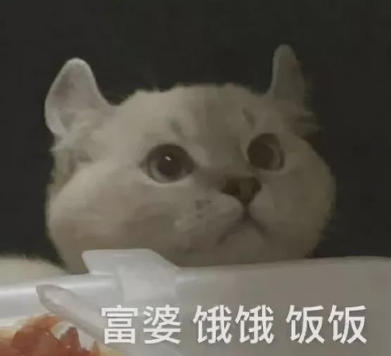 浙江这个地方火了曾有亿万富翁招上门女婿