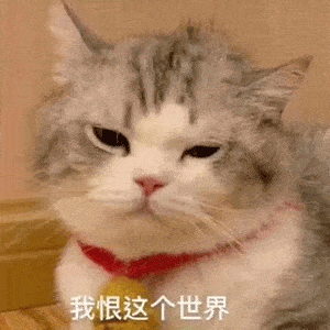 聊天必备搞怪表情包伤害我你就快乐了嘛