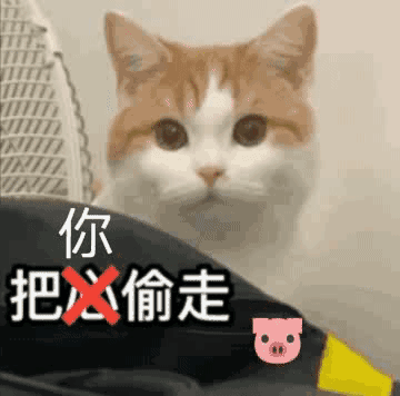 等一个大红包