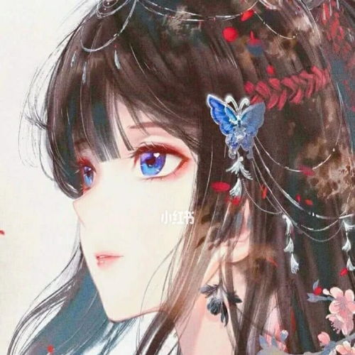 第0074集进展缓慢