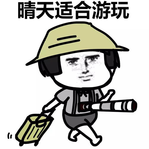 表情丨这种人大概是没人要的了动图背影