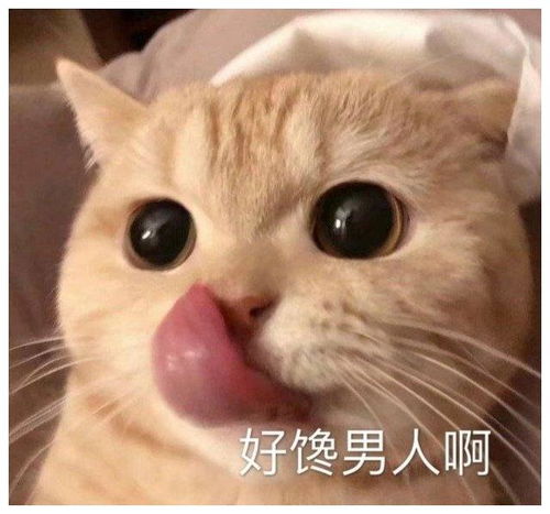 搞笑gif你们这祝福我是真的不想要,你们为什么要来