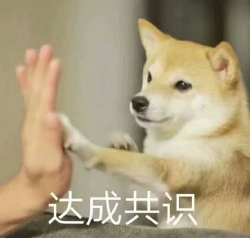搞笑表情包图片你是居吗,不要你管,有本事上称