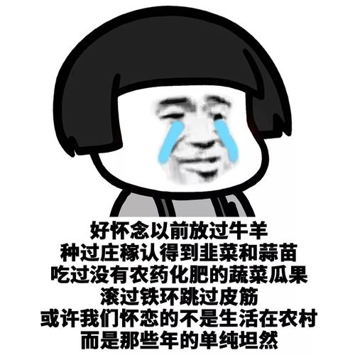 用炸毛掩饰秃头的事实