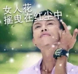 自从做了萨瓦迪卡表情包,讲话都带有一股咖喱味