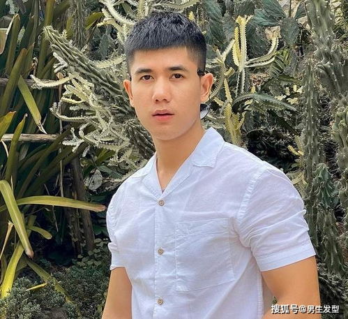 男人30岁后,哪一款发型更值得去剪半露额短发让你更帅气