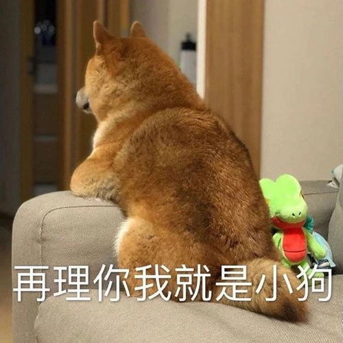 微信里最新热门,搞笑的表情包图片