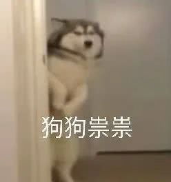 哈士奇与蘑菇头和熊猫人