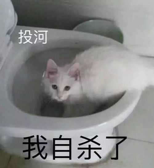 100个沙雕有趣的搞笑表情包