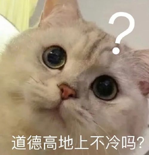 沙雕搞笑表情包