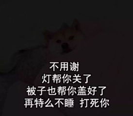 结束不想对话的表情包合集聊天结束,告辞