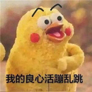 鹦鹉兄弟表情包什么梗