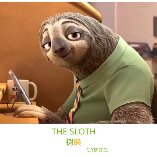 树懒阿树高音质在线试听树懒歌词歌曲下载酷狗音乐