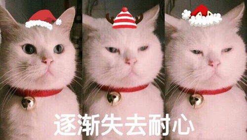我的收藏