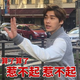 黑李易峰的表情包
