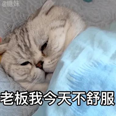怎么还不把这些加到你的表情包库